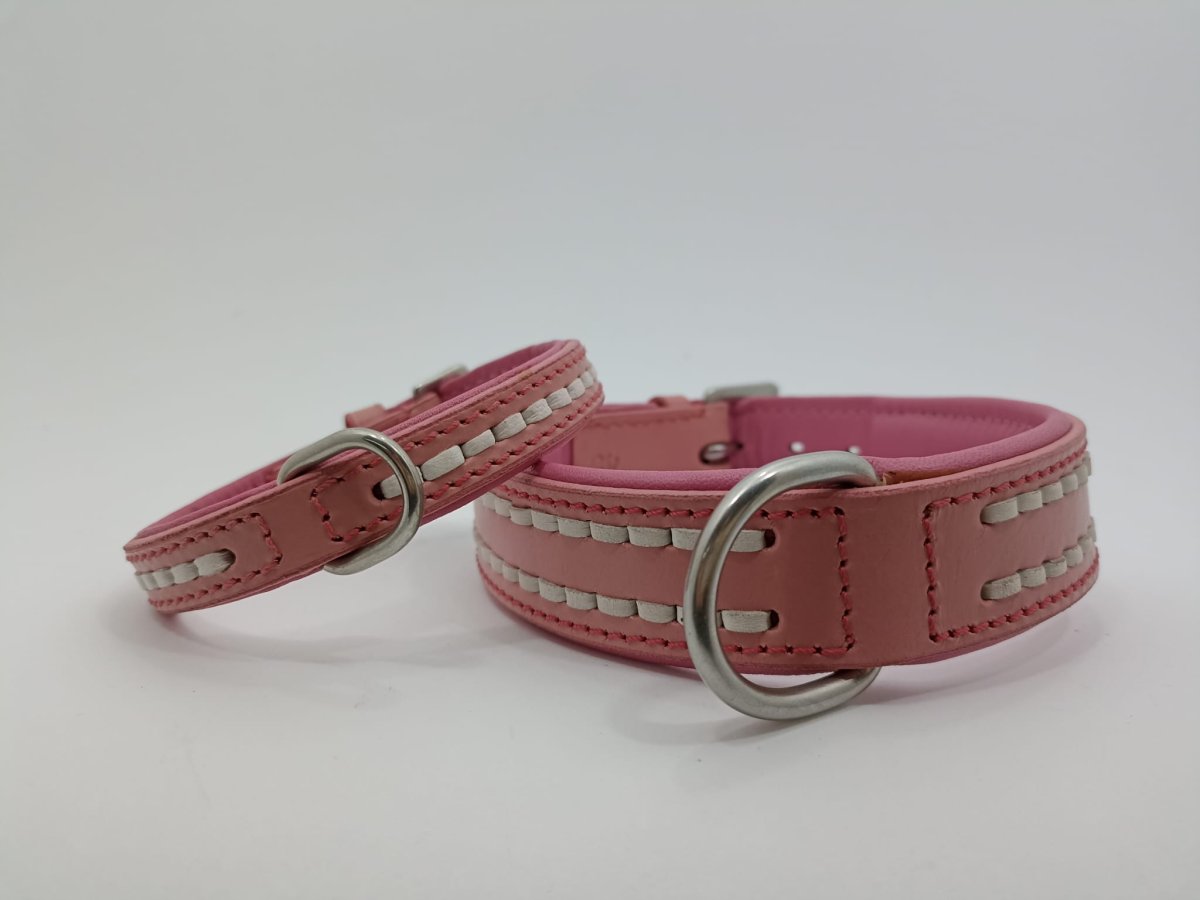 Collare Amelia Pet in Cuoio con Doppio Ricamo - immagine 9