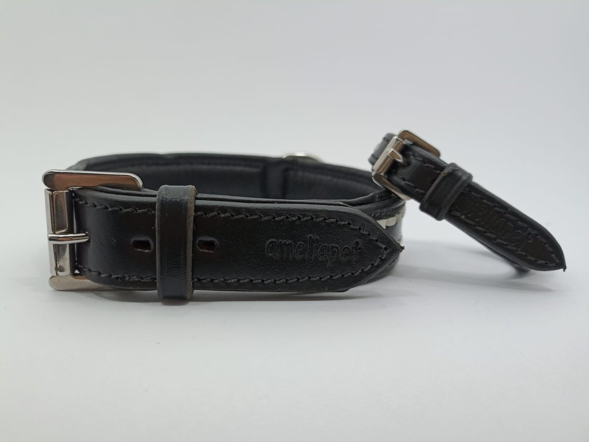 Collare Amelia Pet in Cuoio con Doppio Ricamo - immagine 8