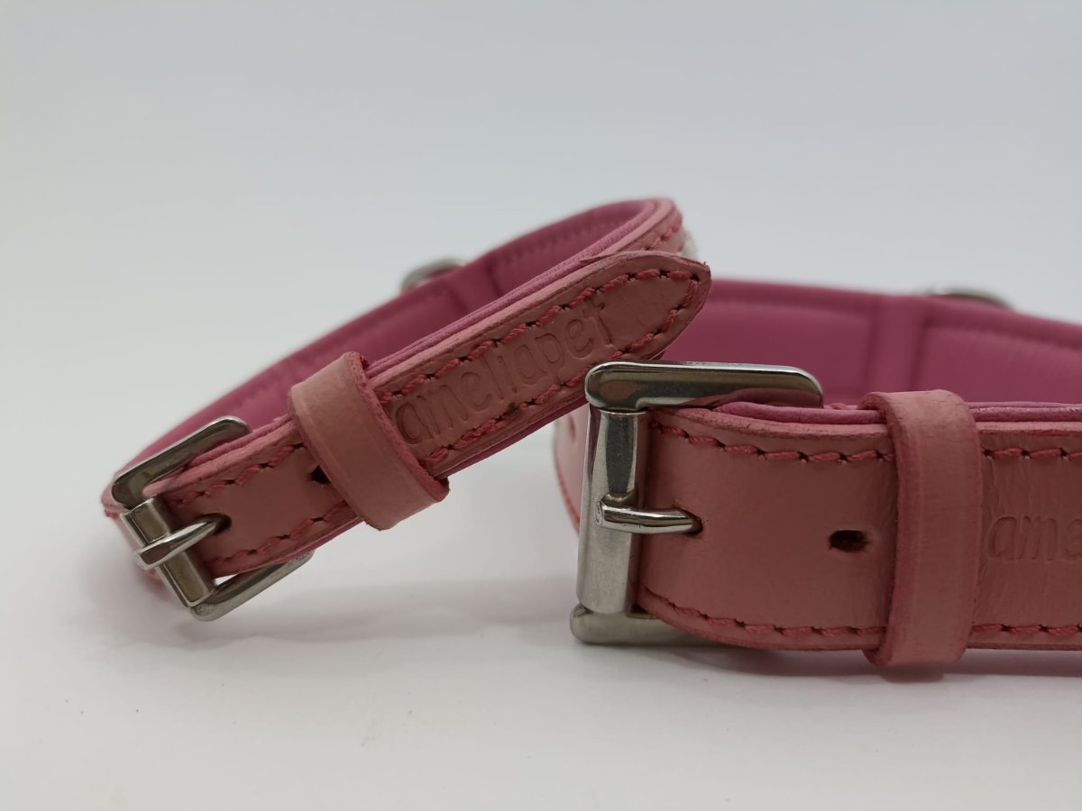 Collare Amelia Pet in Cuoio con Doppio Ricamo - immagine 6