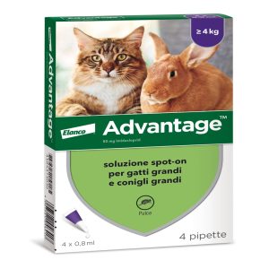 Advantage Antiparassitario Spot-On per Gatti e Conigli superiori a 4 kg