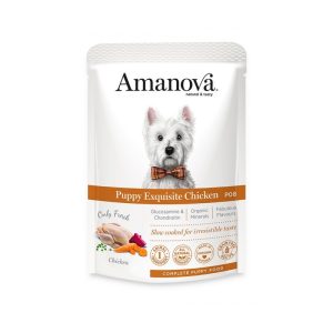 Amanova Patè Grain Free Pollo per Cuccioli 100 gr