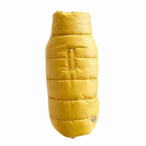 Winter Down Jacket Giallo Oro