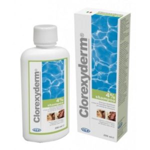 ICF Clorexyderm Shampoo disinfettante 4% Cane e Gatto 250 ml