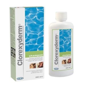 ICF Clorexyderm Shampoo Disinfettante Cane e Gatto 250 ml