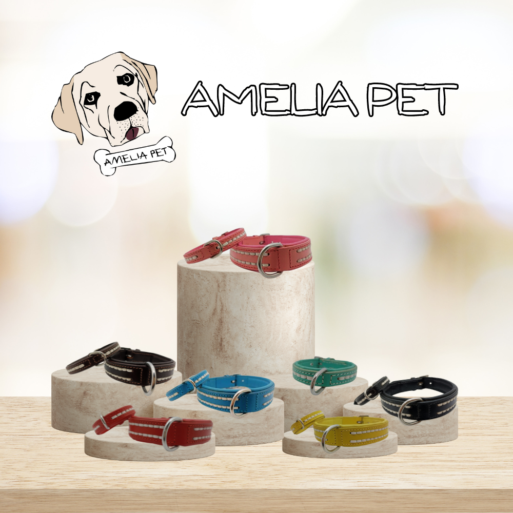 Collare Amelia Pet in Cuoio con Doppio Ricamo