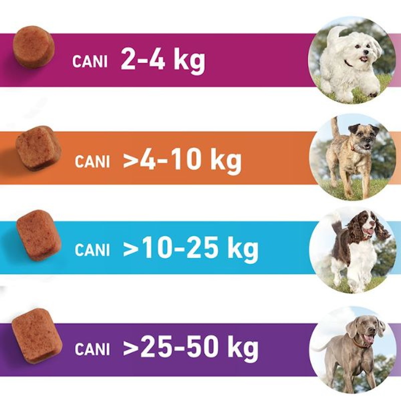 FrontPro Compresse Antiparassitarie per Cane Taglia Grande 25-50 kg - immagine 3