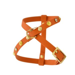 Cone Burnt Orange Harness