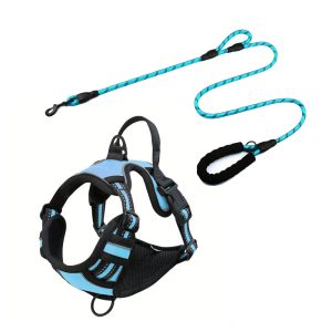 Imbracatura a gilet con guinzaglio