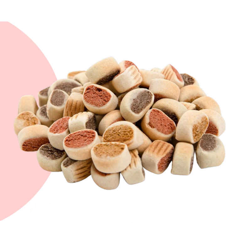 Rolls Rocky Biscotti per Cani Mini Rollies - immagine 2