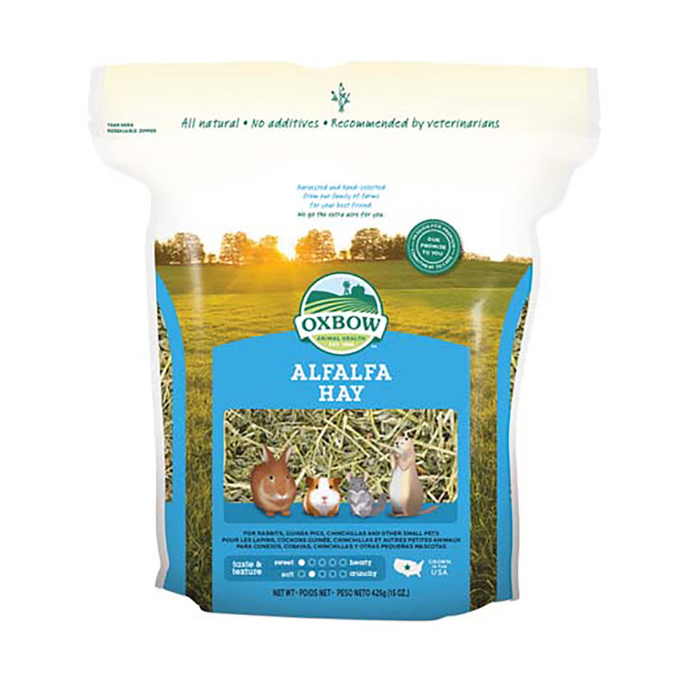 Oxbow AlfaAlfa Hay Fieno Semplice per Roditori e Conigli