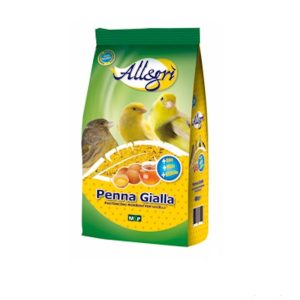 Allegrì Penna Gialla Pastoncino Morbido per Canarini