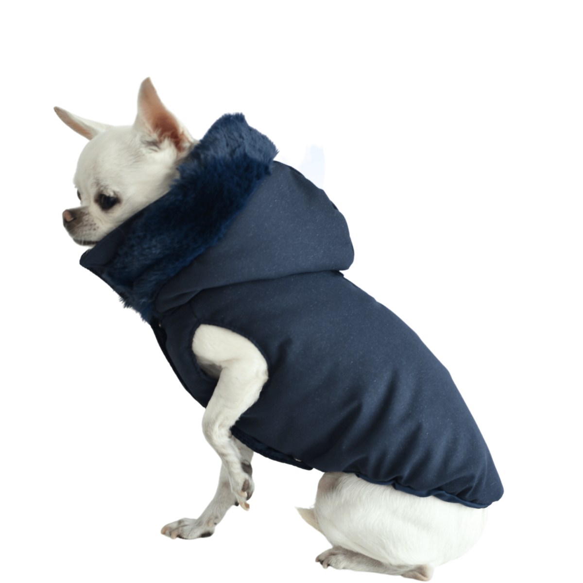 Piumino Glitter blu marino - immagine 6