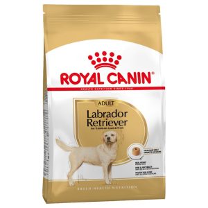 Royal Canin Crocchette per Cane Adult Labrador Retriever