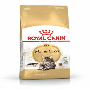 Royal Canin Crocchette per Gatto Adult Maine Coon