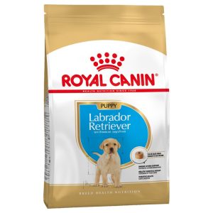 Royal Canin Crocchette per Cane Puppy Labrador Retriever