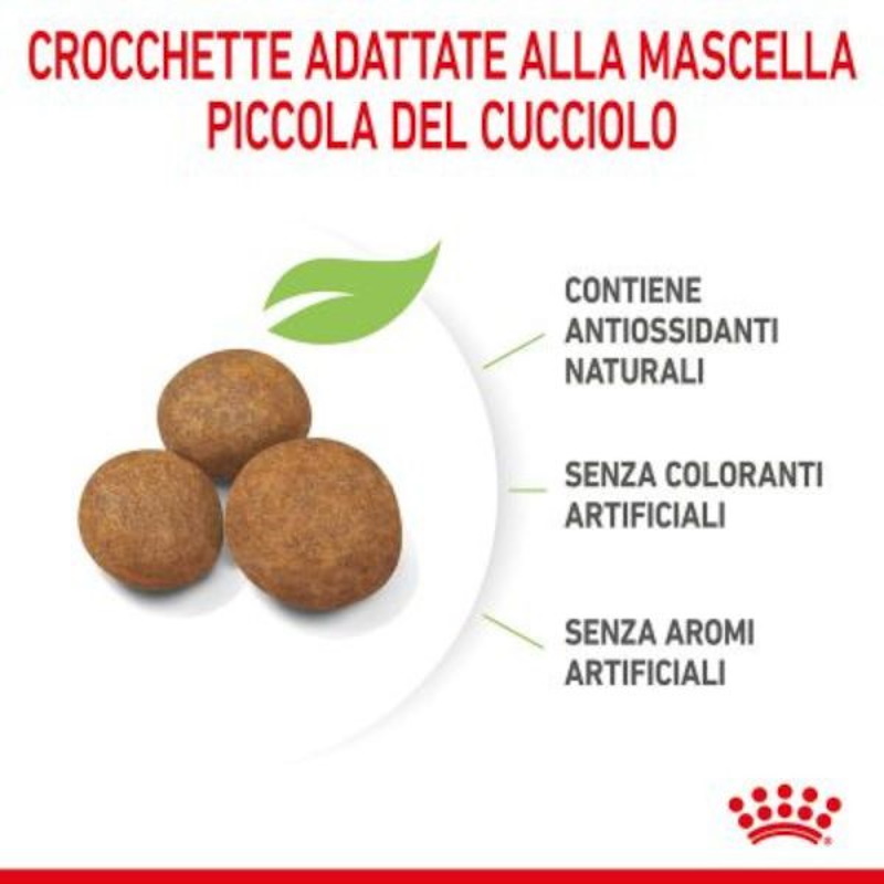 Royal Canin Crocchette per Cuccioli Medium Puppy - immagine 3