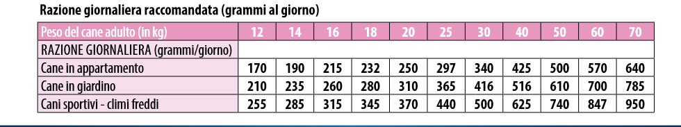 Monge All Breeds Adult Monoprotein Maiale, Riso e Patate - immagine 3