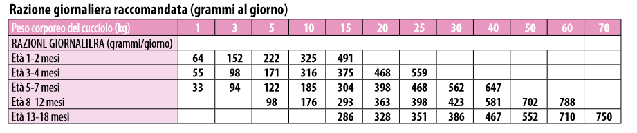 Monge All Breeds Puppy & Junior Monoprotein Maiale, Riso e Patate - immagine 3