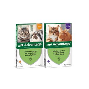 Advantage per gatti e conigli