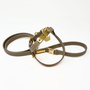 Set pettorina Gold Crown Tortora