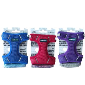 Farm Company KIT PETTORINA E GUINZAGLIO