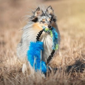 Anello Bungee in Pelo Sintetico