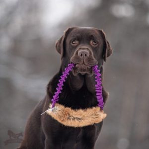 Anello Bungee in Pelo di Coniglio