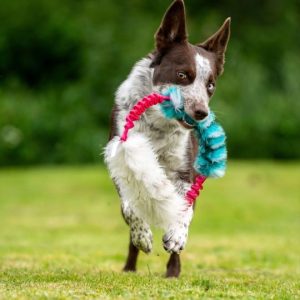 Anello Bungee in Pelo di Pecora e Pelo Sintetico