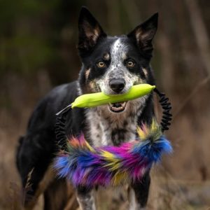 Anello Bungee in Pelo con Manicotto Squeek
