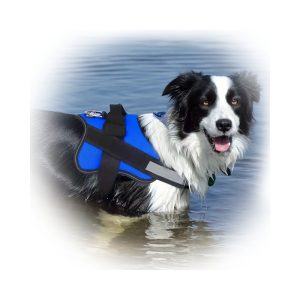 Pettorina per cani taglia XL Adulti