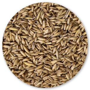 Bird Semi di Avena per Volatili e Roditori