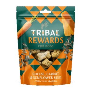 Biscotti Formaggio e Carote