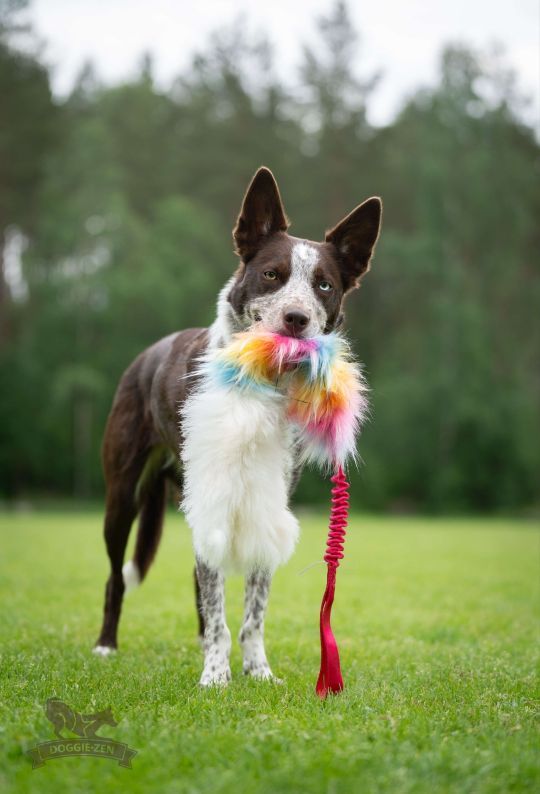 Bungee Octopus in Pelo di Pecora e Sintetico - immagine 3