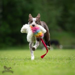 Bungee Octopus in Pelo di Pecora e Sintetico