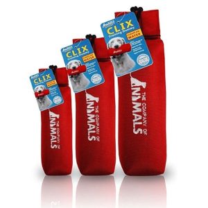 Canvas Training Dummy