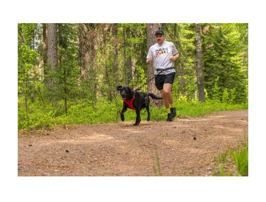 Cintura Trekking con Linea Ammortizzata - immagine 4