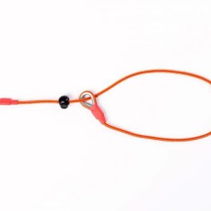 Collare da Addestramento in Nylon