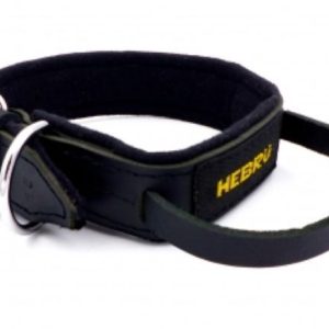 Collare in Pelle con Maniglia