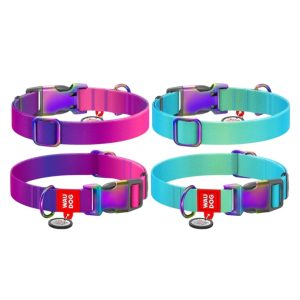 Collare in Nylon con Fibbia Cangiante