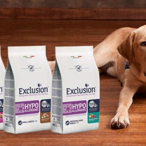 Exclusion Hypoallergenic