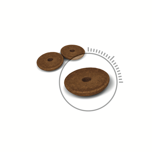 Royal Canin Cat Digestive Care - immagine 3