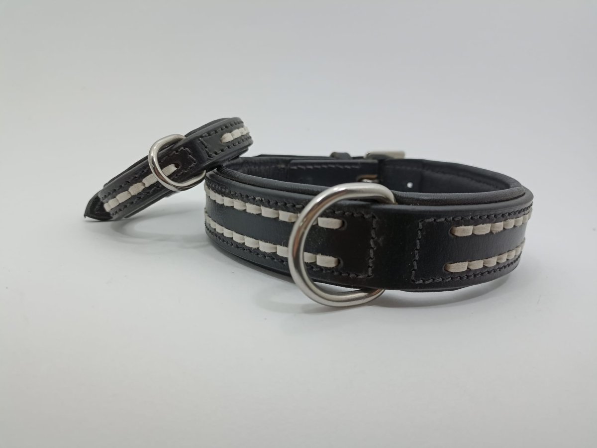 Collare Amelia Pet in Cuoio con Doppio Ricamo - immagine 4