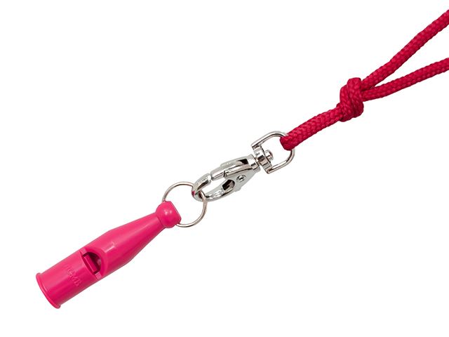 ACME fischietto monotono 212 field trial - immagine 5