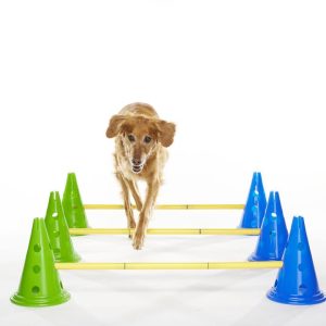 Kit cavalletti fitpaws