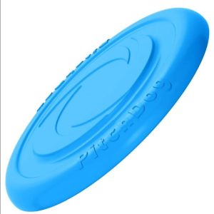 Frisbee Galleggiante