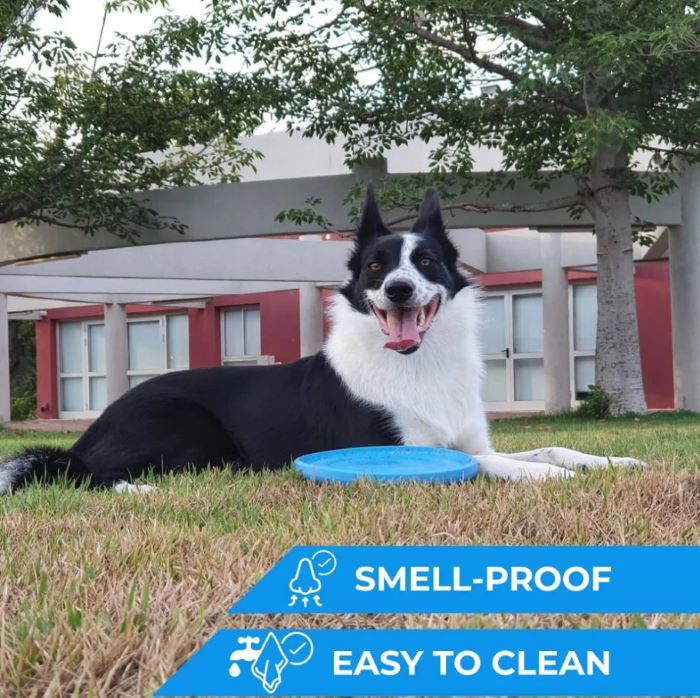 Frisbee Galleggiante - immagine 6