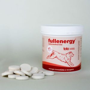 Fullenergy