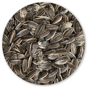 Bird Semi di Girasole Grosso per Volatili e Roditori