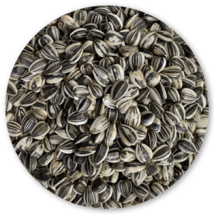 Bird Semi di Girasole Piccolo per Volatili e Roditori