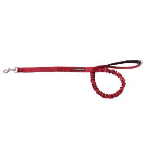 Guinzaglio ammortizzato